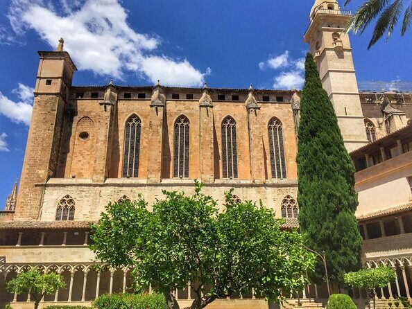 1 Hour Electric Scooter Tour in Palma - Key things I’d mark on your must-do list