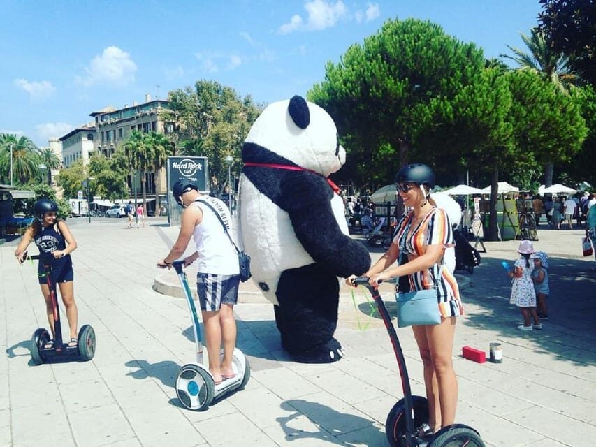 1 Hour Segway tour in Palma de Mallorca - Who Should Book (and Who Should Skip)