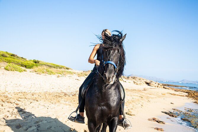 3-Hour Beach Horse Riding to Discover the Beauty of Alcudia Bay - Key highlights you’ll feel on the day
