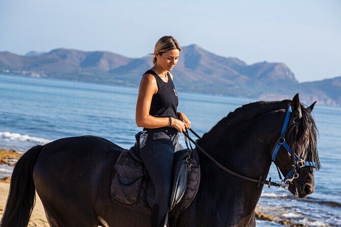 3-Hour Beach Horse Riding to Discover the Beauty of Alcudia Bay - Why Alcudia Bay on horseback is a practical Mallorca classic