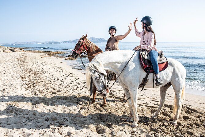 3-Hour Beach Horse Riding to Discover the Beauty of Alcudia Bay - Beach time isn’t the whole story, and that’s the point