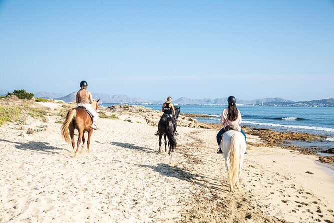 3-Hour Beach Horse Riding to Discover the Beauty of Alcudia Bay - When you can trot or gallop: rider ability really matters
