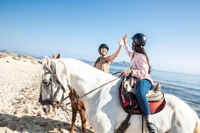 3-Hour Beach Horse Riding to Discover the Beauty of Alcudia Bay - Horses, helmets, and monitors: what you’re actually paying for
