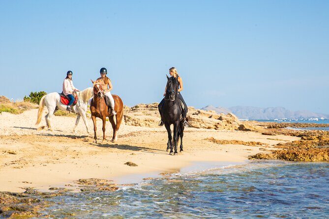 3-Hour Beach Horse Riding to Discover the Beauty of Alcudia Bay - Group size and pace: up to 20 riders, mixed experience, real dynamics