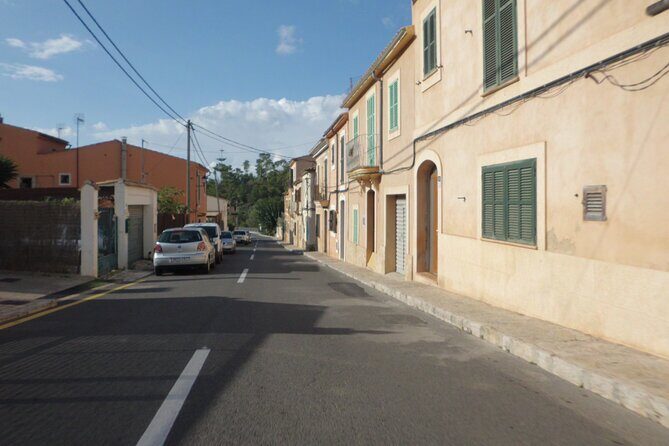 3 hours quad tour from Paguera - Meeting point in Peguera: start on time, keep it simple
