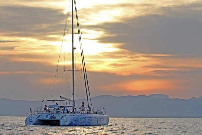 Adult Only Sunset Catamaran Palma bay - Key points that make this cruise worth your time