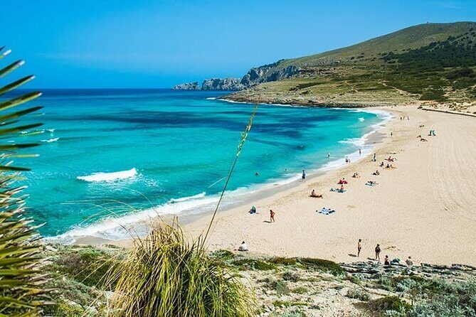 Afternoon Snorkel & Paddle Surf Experience in a Secret Spot - Key Highlights You’ll Feel on the Water