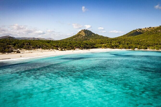 Afternoon Snorkel & Paddle Surf Experience in a Secret Spot - Getting There and Back: How Smooth This Feels