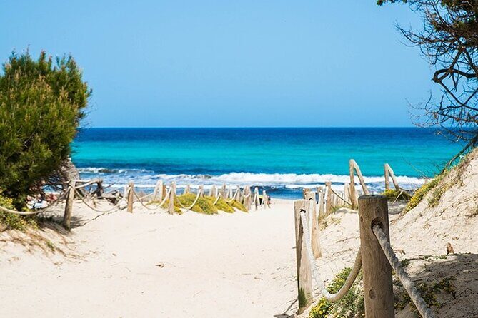 Afternoon Snorkel & Paddle Surf Experience in a Secret Spot - Price and Value: What $116.80 Really Buys