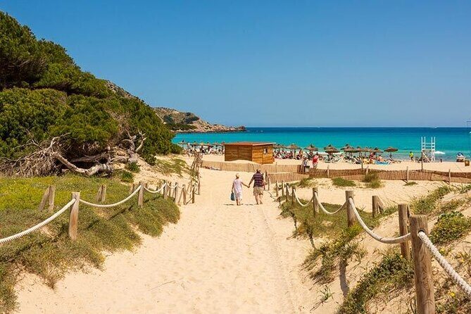 Afternoon Snorkel & Paddle Surf Experience in a Secret Spot - Who This Tour Is Best For (and Who Should Skip)