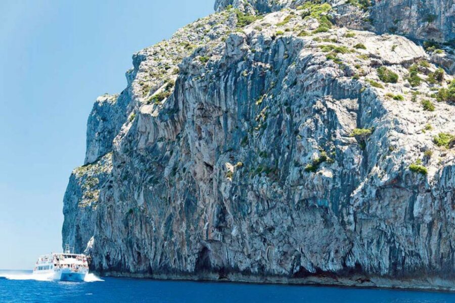 Alcudia: Boat Trip to Cap de Formentor and Formentor - The Coastal Run-Up: Coll Baix, Aucanada, and Cap des Pinar