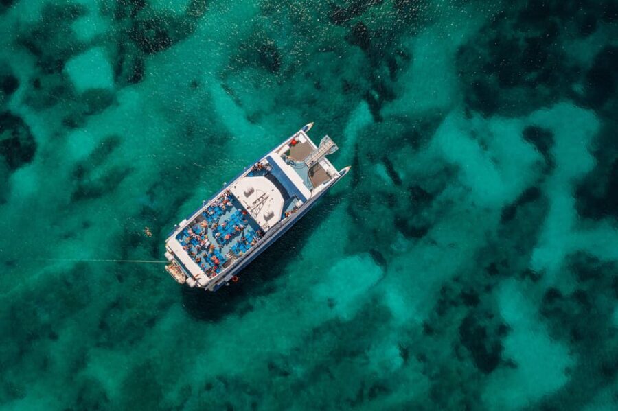 Alcudia: Boat Trip to Coll Baix - Key Things to Know Before You Go