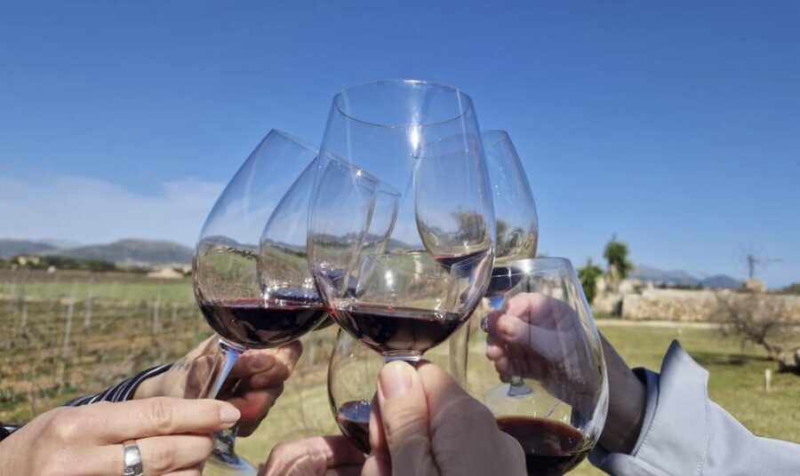 Alcúdia/Can Picafort: Guided Vineyard Visit and Wine Tasting - Key things to know before you go