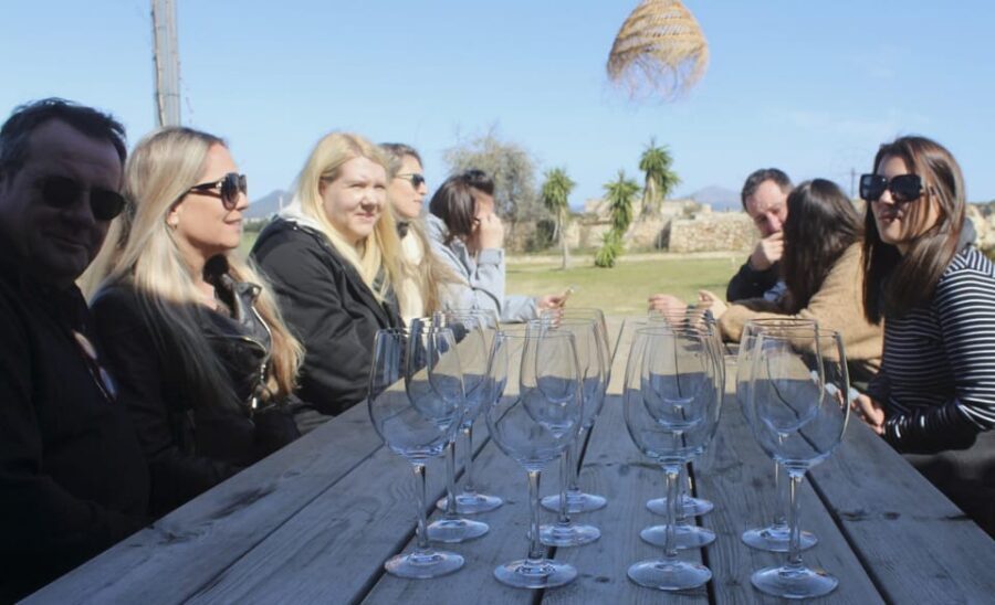 Alcúdia/Can Picafort: Guided Vineyard Visit and Wine Tasting - Who This Tour Fits Best