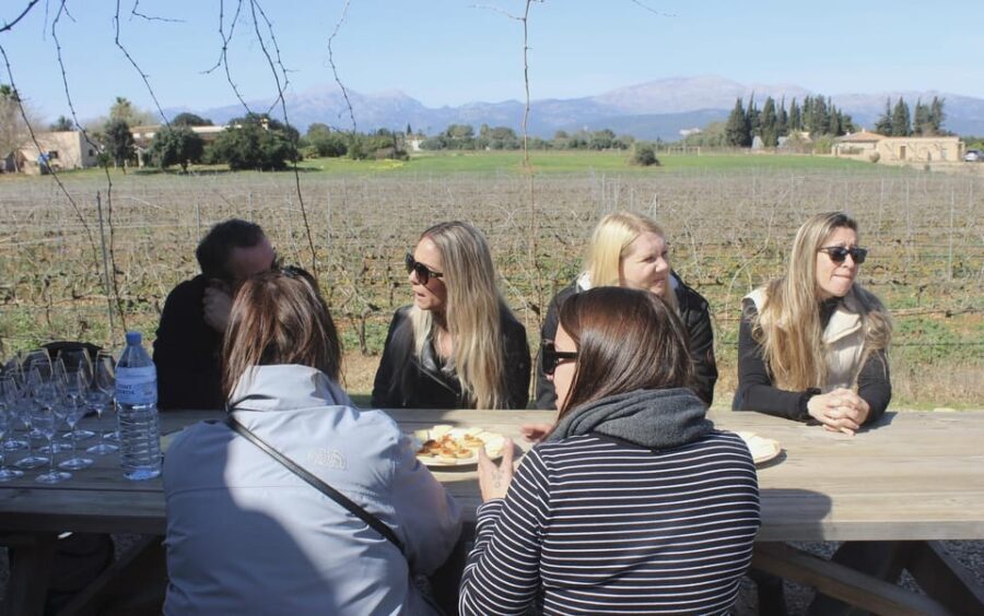 Alcúdia/Can Picafort: Guided Vineyard Visit and Wine Tasting - From Oak Barrels to the Tasting Terrace