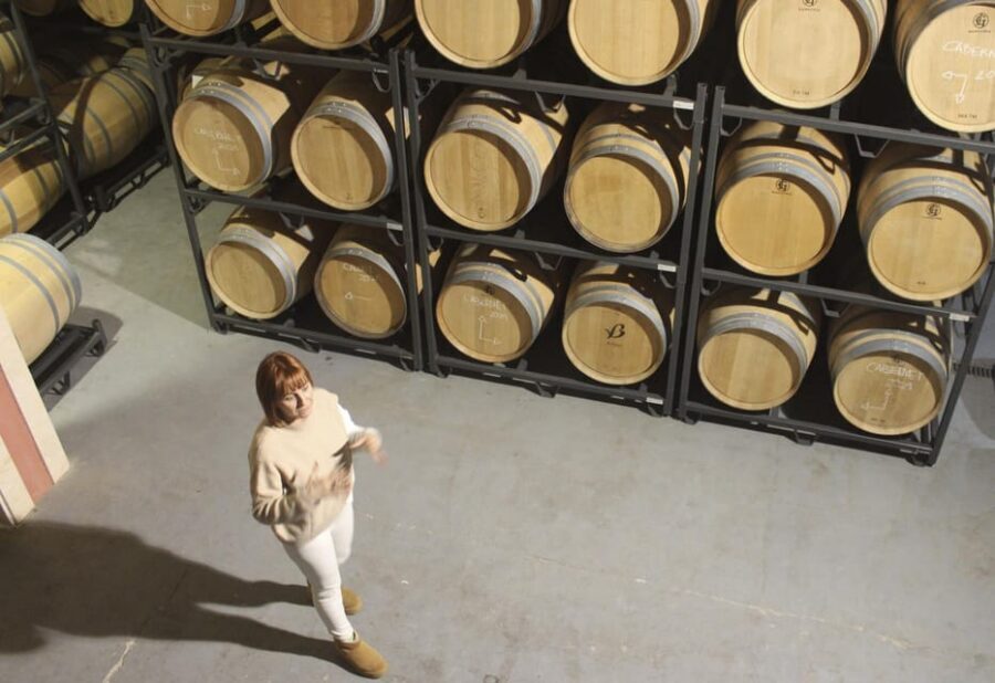 Alcúdia/Can Picafort: Guided Vineyard Visit and Wine Tasting - Local Nibbles That Make the Wines Easier to Appreciate