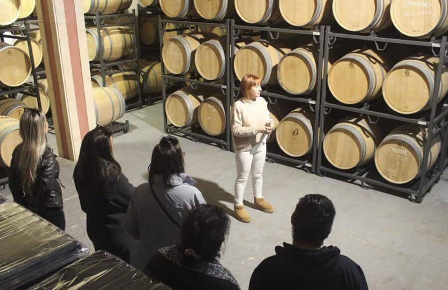Alcúdia/Can Picafort: Guided Vineyard Visit and Wine Tasting - Price and Value: Is $58 a Fair Deal?