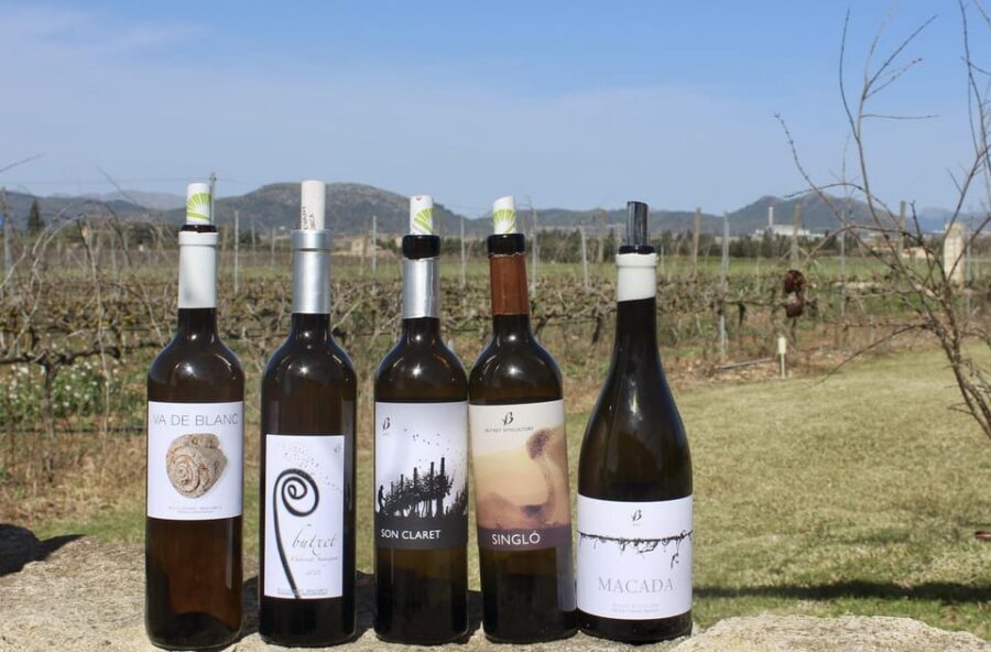 Alcúdia/Can Picafort: Guided Vineyard Visit and Wine Tasting - Arriving at a Boutique Winery With Limited Bottling