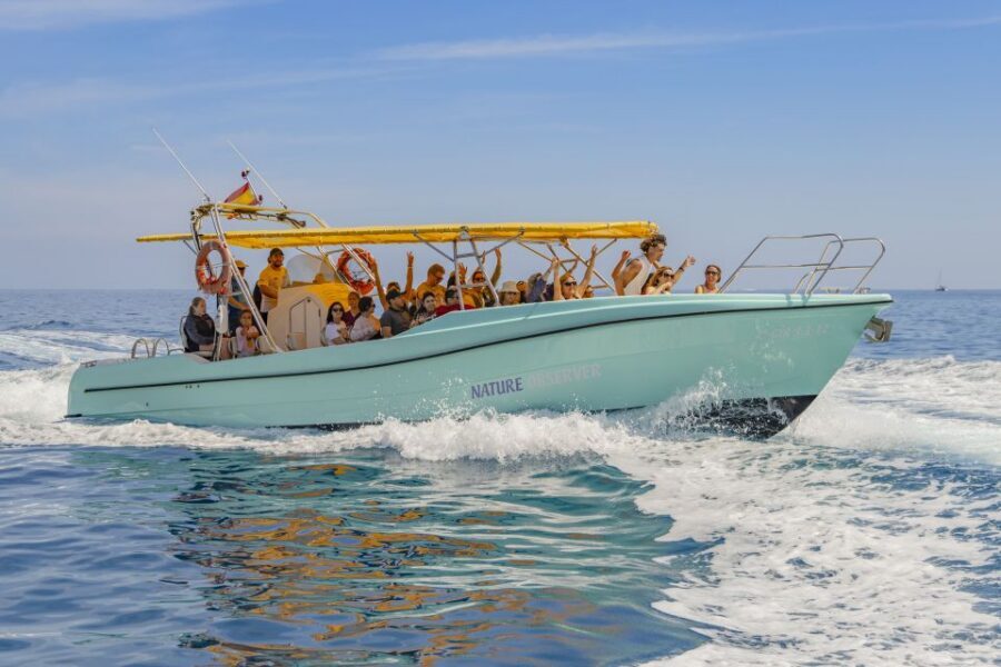 Alcudia: Coll Baix Beach & Sea Caves Cruise with Snorkeling - Sailing Alcúdia Bay: the part that’s more than just transport