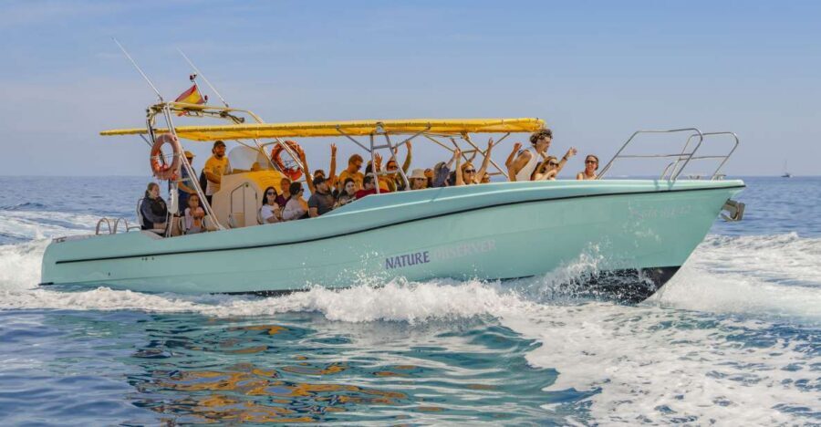 Alcudia: Coll Baix Beach & Sea Caves Cruise with Snorkeling - Getting picked up: how the trip starts without hassle