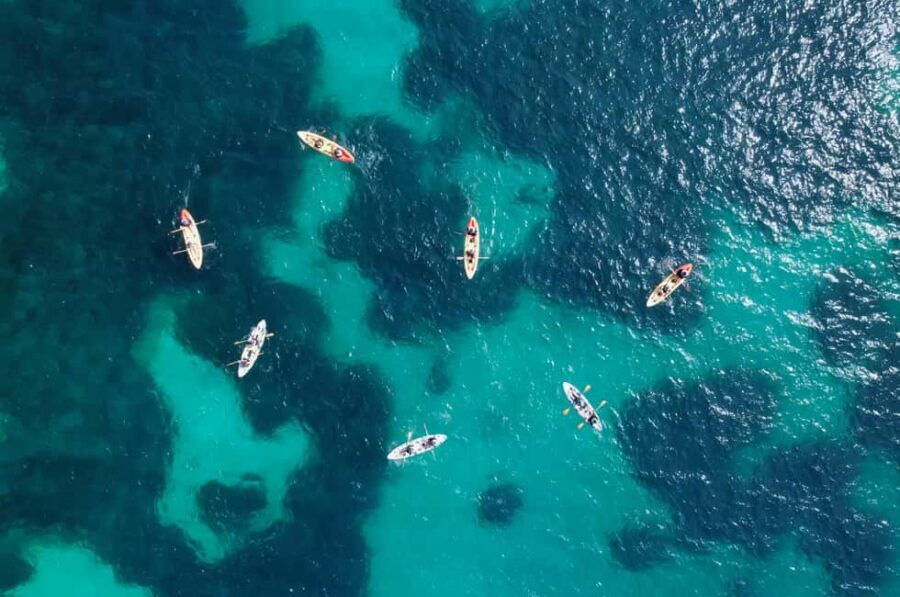 Alcudia: Guided Sea Kayaking Tour with Snorkeling - Price and value: why $53 makes sense for this mix