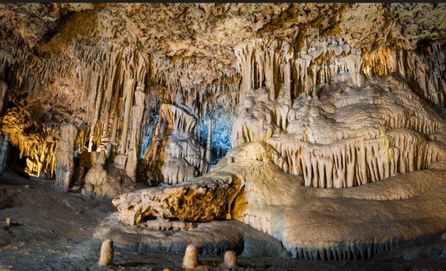 Alcudia: Half-day Caves of Hams, Blue Caves and documentary - Botanic garden and picnic time: your surface break between cave and return