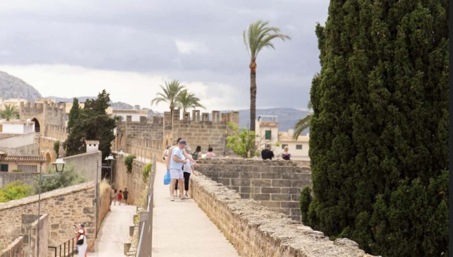 Alcudia Old Town Private Tour - How the guide tailors your route (and why that matters)