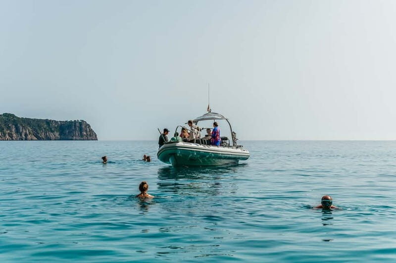 Alcudia or Can Picafort: Dolphin-Watching Cruise - What to Pack (and What to Skip)