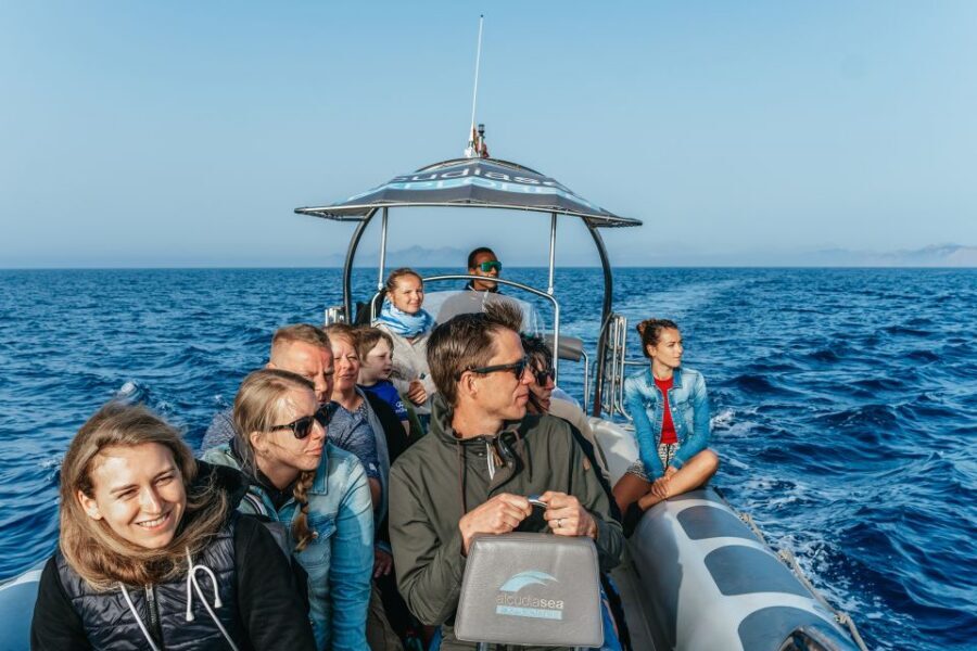 Alcudia or Can Picafort: Dolphin-Watching Cruise - Finding Dolphins: What Close-Up Watching Feels Like