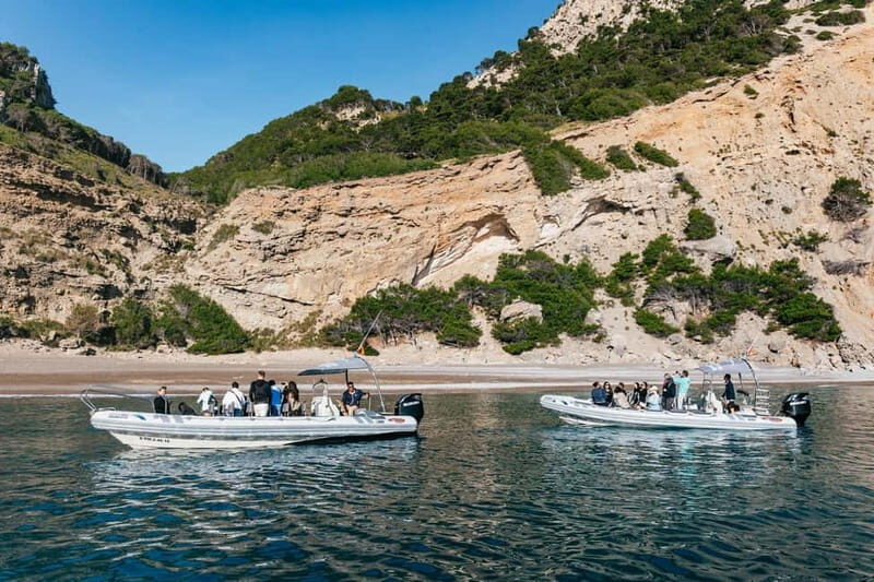 Alcudia or Can Picafort: Dolphin-Watching Cruise - Sunrise vs Afternoon: Pick Your Mood, Not Just the Time