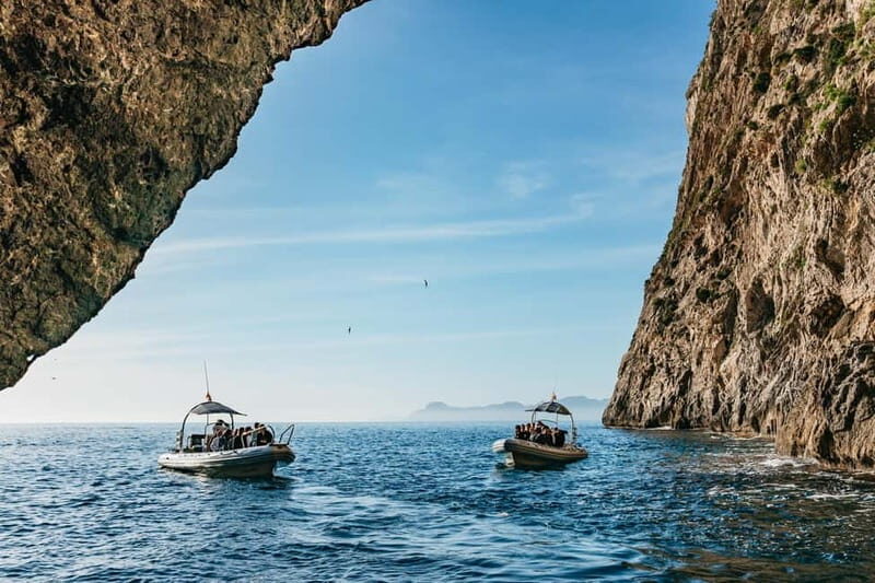 Alcudia or Can Picafort: Dolphin-Watching Cruise - Getting Onboard: Port d’Alcudia and Optional Can Picafort Pickup