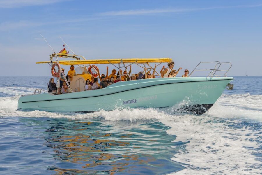 Alcudia: Pirate Cave, Parc Natural & Snorkel - Pirate’s Cave snorkel: the main reason people book