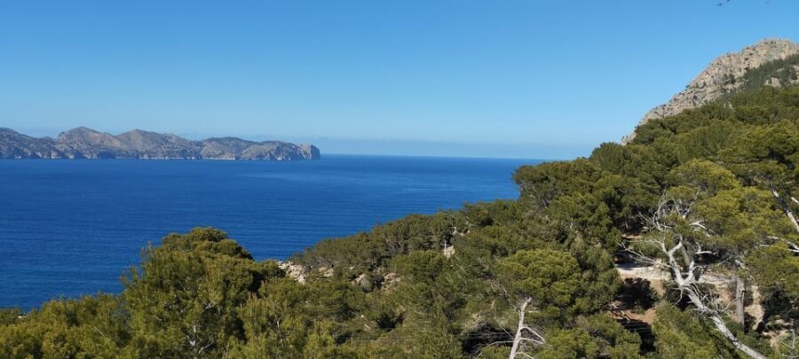 Alcudia: Quad Sightseeing Tour with Viewpoints - Single vs Double Quad: Choose Your Comfort and Your Fun