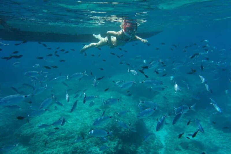 Alcudia: Sea Caves Coves and Snorkeling in small groups - Es Caló Cove Snorkeling: The Spot That Makes the Cruise Feel Worth It