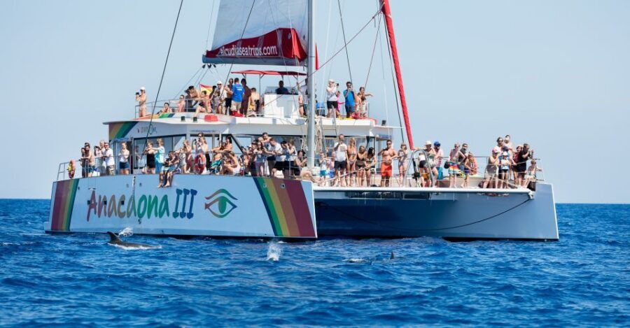 Alcudia: Sunset Catamaran Tour with Dinner and Snorkeling - Key Things I’d Plan Around