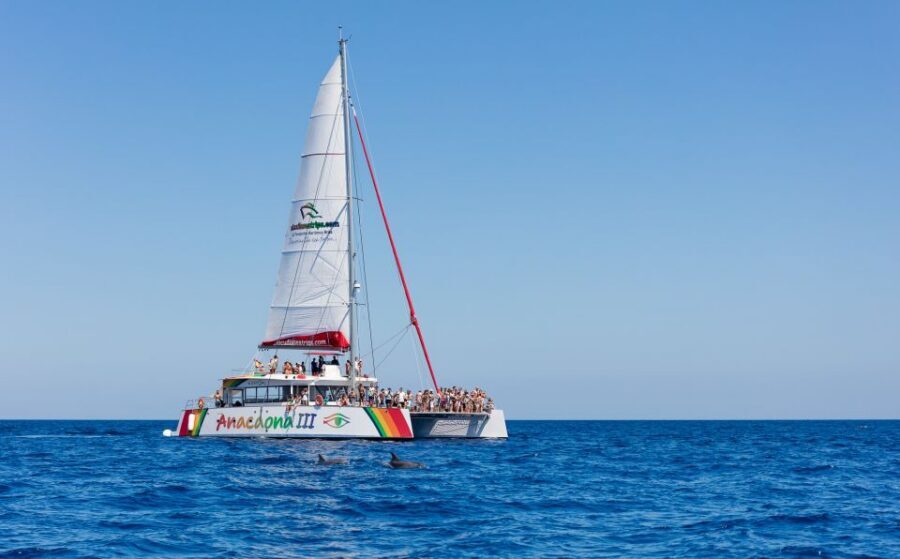 Alcudia: Sunset Catamaran Tour with Dinner and Snorkeling - Alcudia to the North Coast: Why This Sunset Route Works