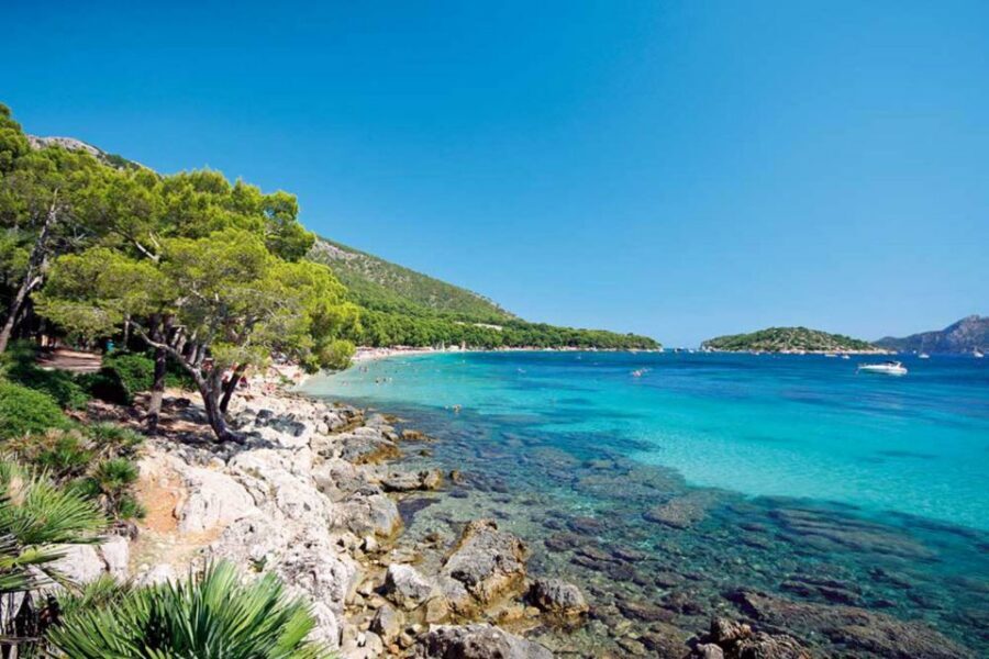 Alcudia: Trip to Formentor Beach - Onboard Comfort: Bar Service, Seating, and What’s Included