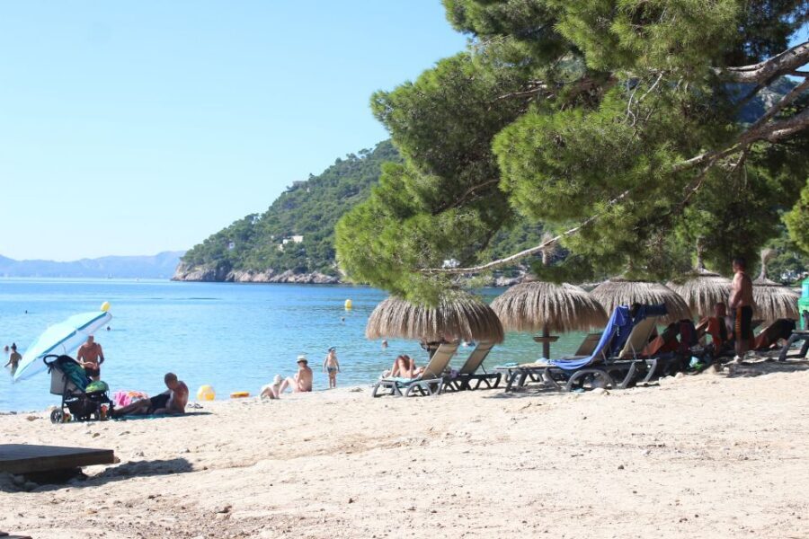 Alcudia: Trip to Formentor Beach - Who This Boat Trip Fits Best