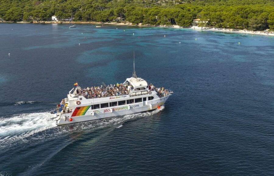 Alcudia: Trip to Formentor Beach - The Catamaran Ride Out of Alcúdia: What You See and What It Feels Like