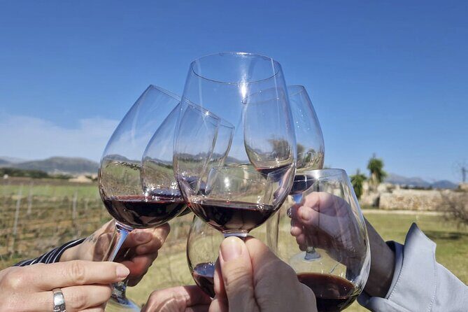 Alcudia Winecellar Tour with Vineyard Visit, Tasting of 5 Wines - The tasting: 5 onsite wines plus locally sourced snacks
