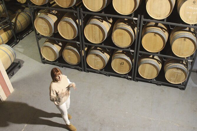 Alcudia Winecellar Tour with Vineyard Visit, Tasting of 5 Wines - Price and value: is $53.52 a fair deal?