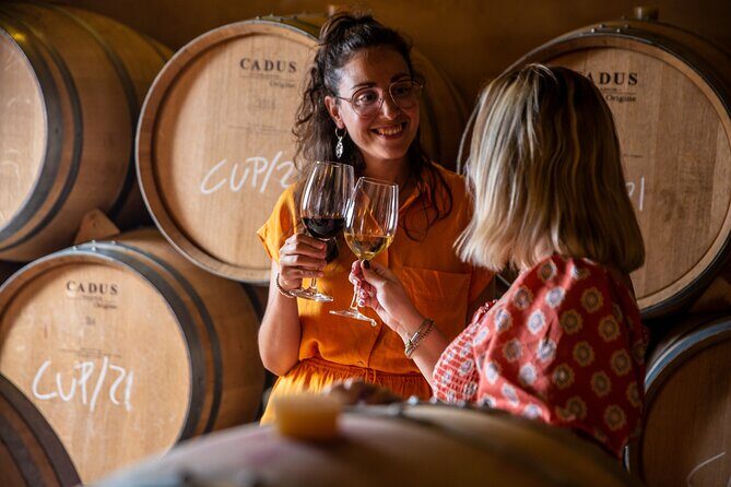 Alcudia Winecellar Tour with Vineyard Visit, Tasting of 5 Wines - Who should book (and who might skip)