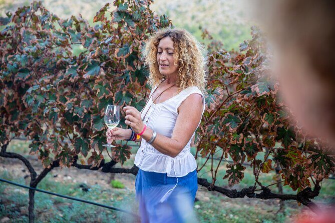 Alcudia Winecellar Tour with Vineyard Visit, Tasting of 5 Wines - Should you book this Alcúdia winecellar tour?
