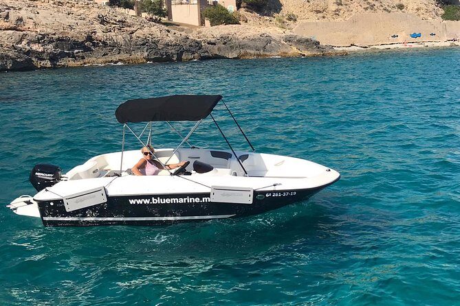 Bluemarine.me license free Bayliner Element E5 rental - Key Things You Should Know Before You Go