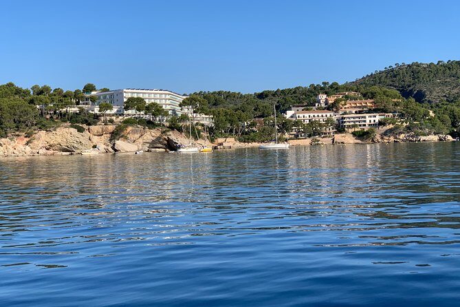 Bluemarine.me license free Bayliner Element E5 rental - License-Free Captain Time: Bayliner Element E5 from Santa Ponsa
