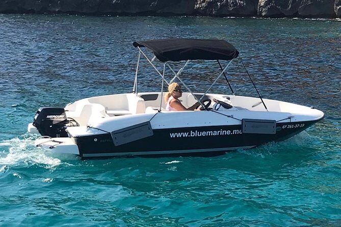 Bluemarine.me license free Bayliner Element E5 rental - Two Hours on the Water: How Your Plan Typically Unfolds