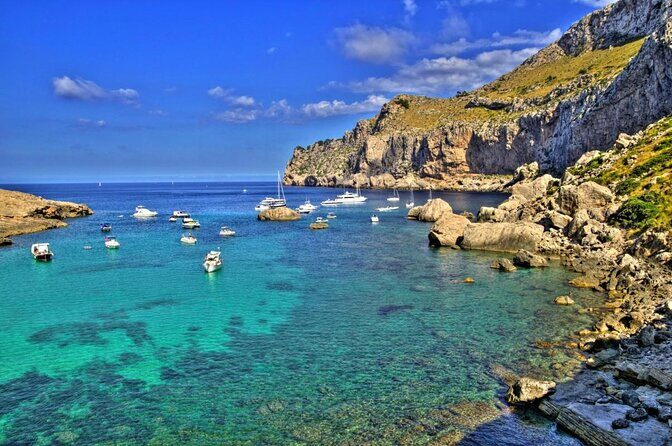Boat tour from Cala Figuera to Caló del Moro and S´Almonia - Key highlights to know before you go