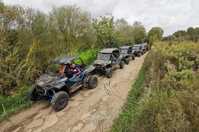 Buggy 2-seater and 4-seater Off-On Road Tour in Mallorca - The Unpaved Stretch: What Off-Road Driving Really Feels Like
