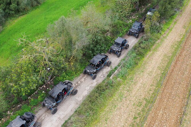 Buggy 2-seater and 4-seater Off-On Road Tour in Mallorca - Price and Value: Automatic Buggies, a Viewpoint, and the Insurance Twist