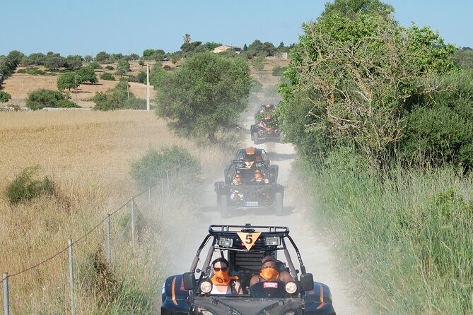Buggy tour: East area of Mallorca - Group size and guidance: what staying with the guide means for you